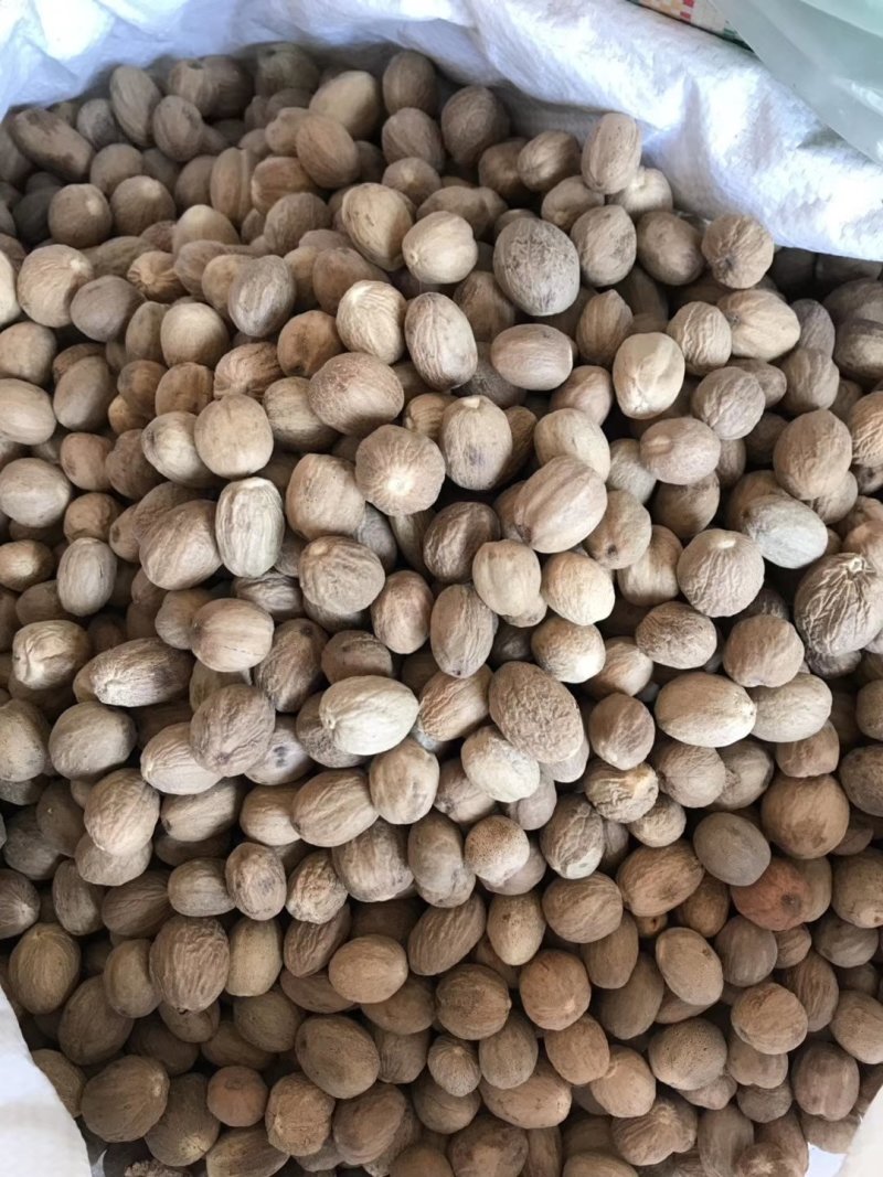 玉果肉豆蔻玉兰果一级调味品香料火锅底料印尼产地零售批发