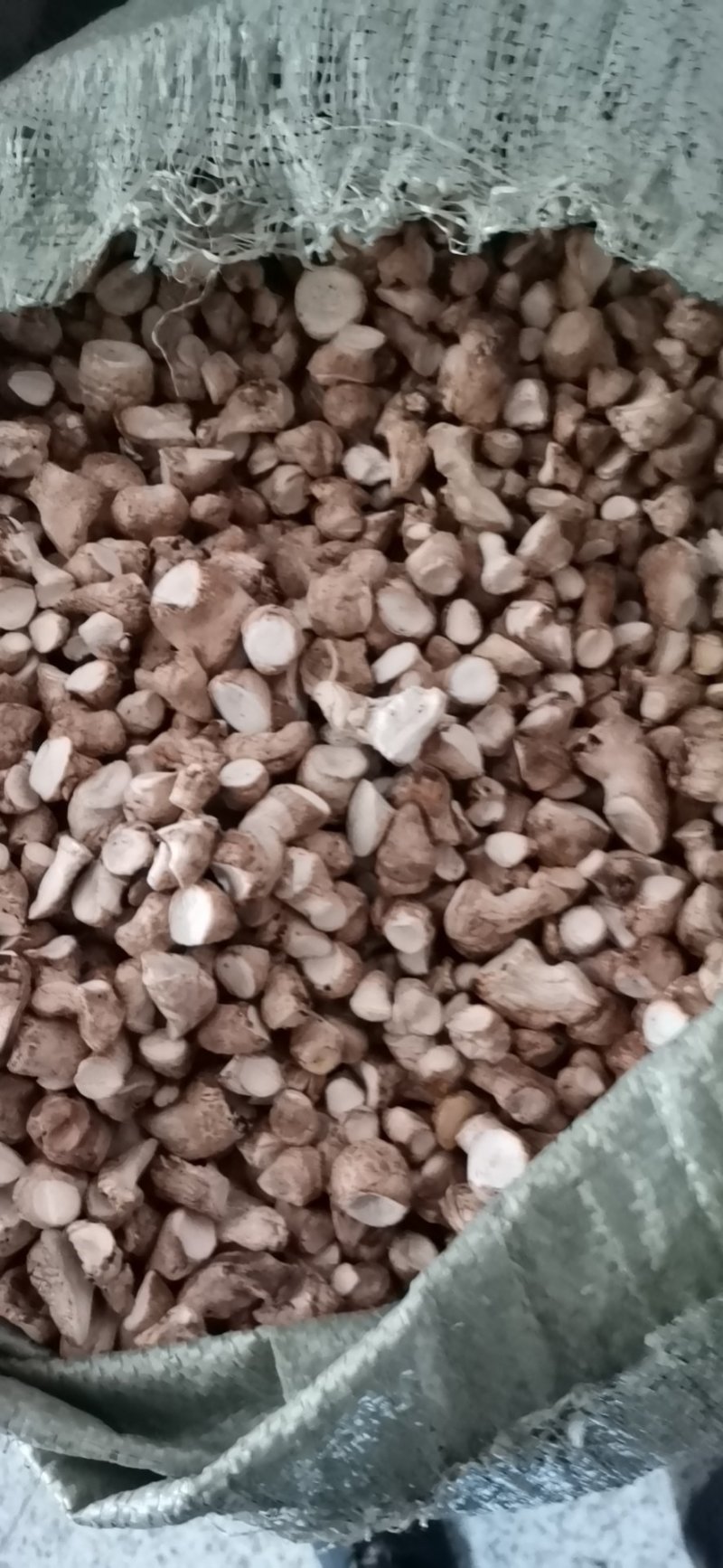 双剪香菇脚，干净通货