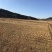 120亩田地出租，水源好，土质好
