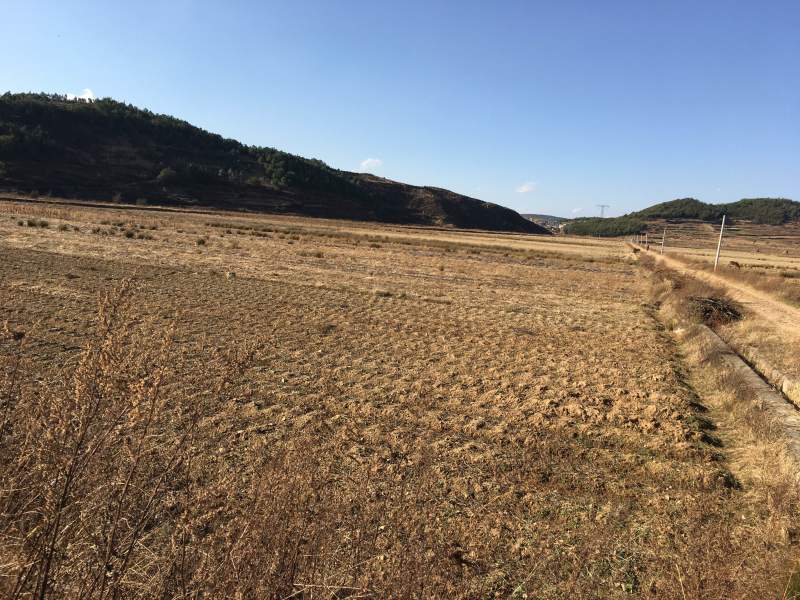 120亩田地出租，水源好，土质好