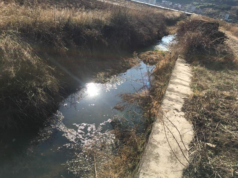 120亩田地出租，水源好，土质好