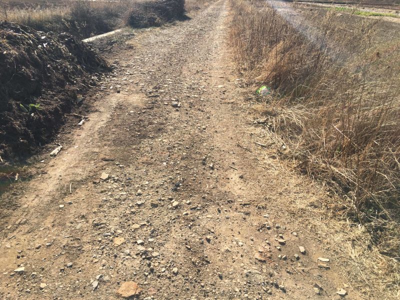 120亩田地出租，水源好，土质好