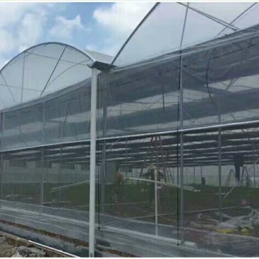 温室养殖大棚骨架钢管养鸡鸭猪钢架连体简易椭圆管蔬菜大棚