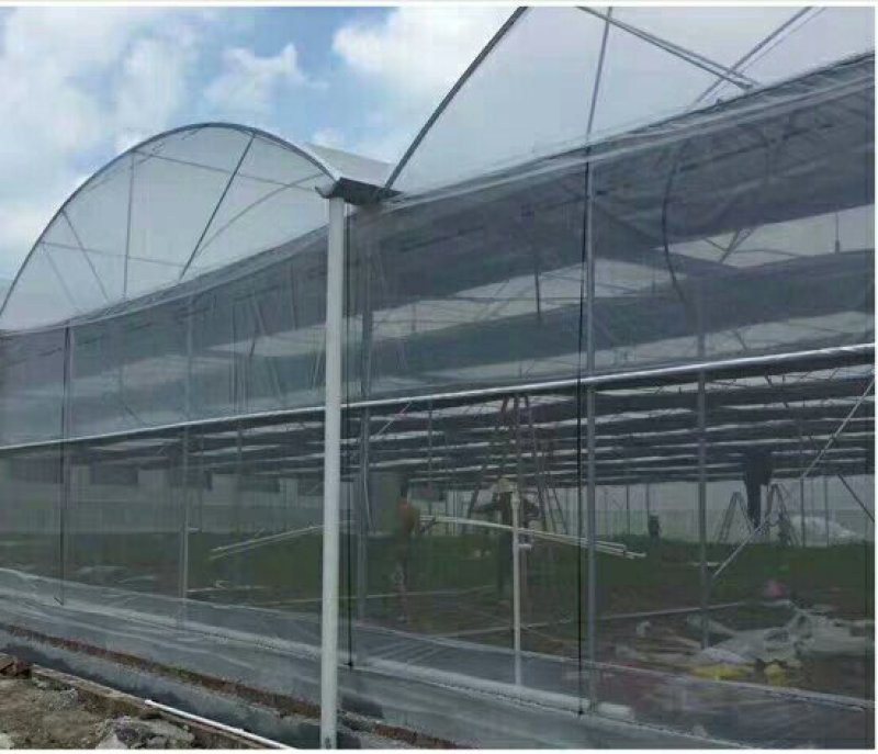 温室养殖大棚骨架钢管养鸡鸭猪钢架连体简易椭圆管蔬菜大棚