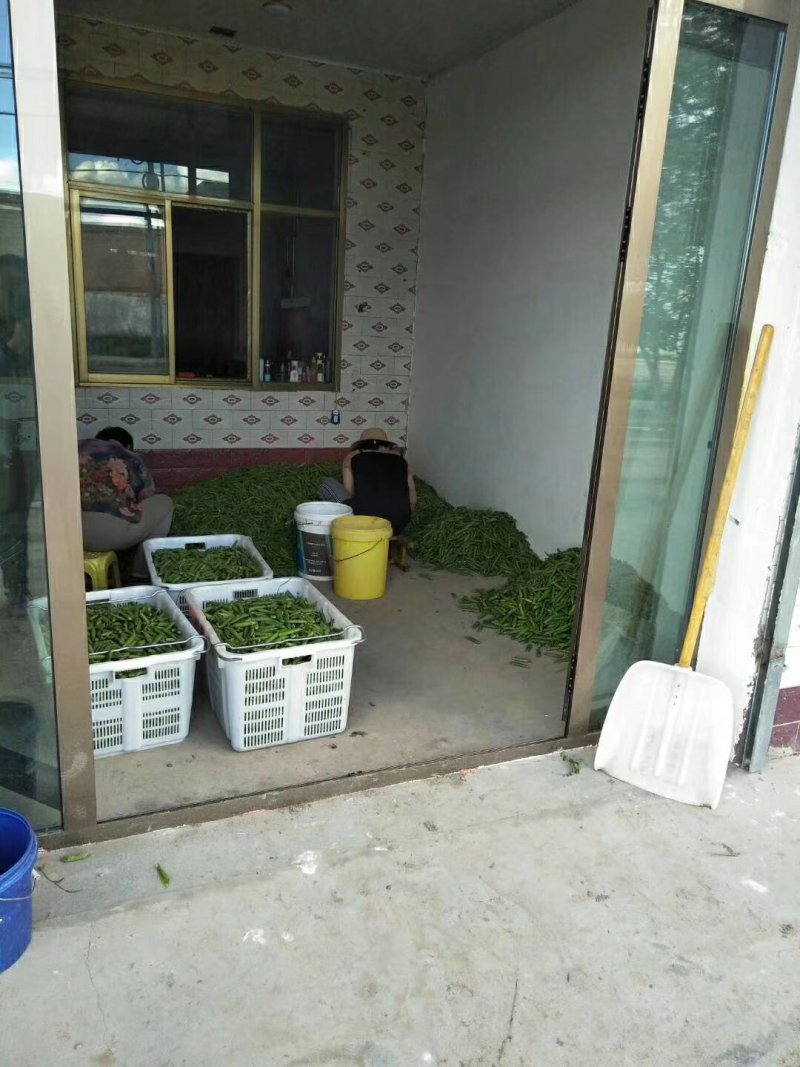 水果豆