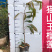 马来西亚猫山王苗榴莲苗