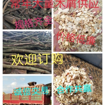 常年大量供应食用菌杂木屑，香菇、平菇、、秀针菇、球盖菇、