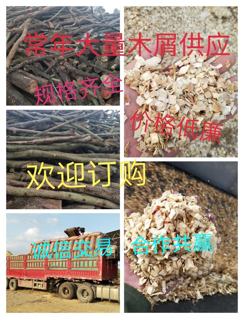 常年大量供应食用菌杂木屑，香菇、平菇、、秀针菇、球盖菇、