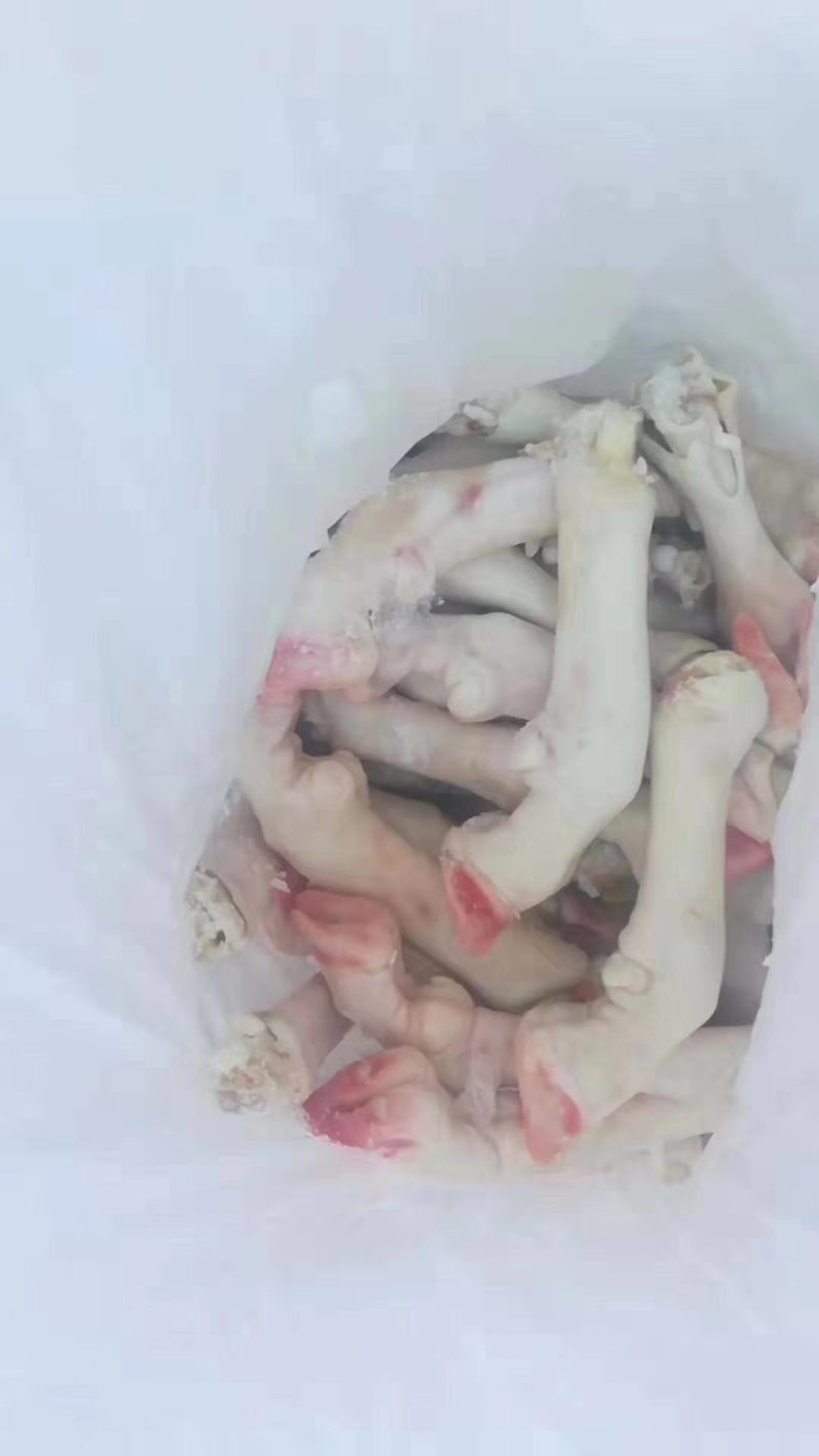 【精品】山东水退不抽筋育肥羊蹄，净重无冰纯干货