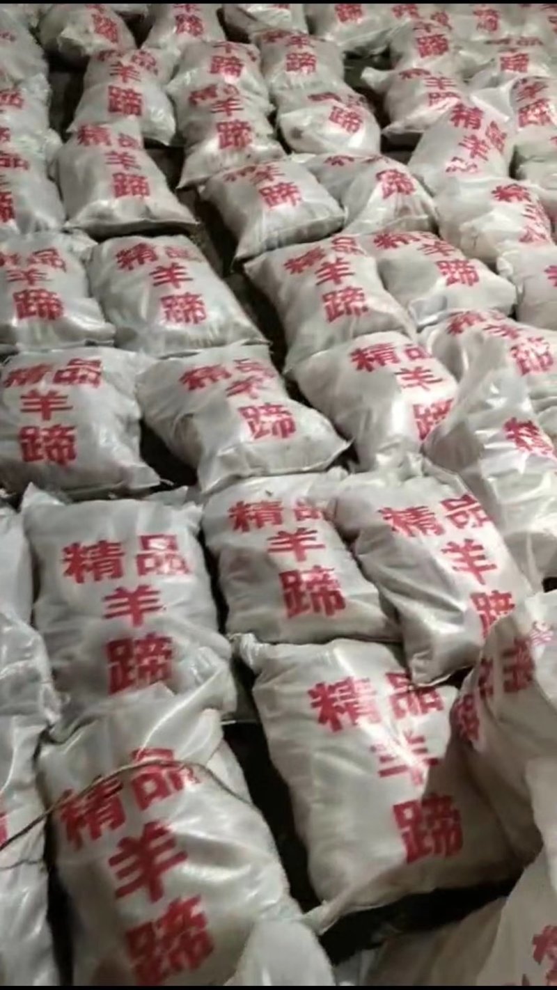 【精品】山东水退不抽筋育肥羊蹄，净重无冰纯干货