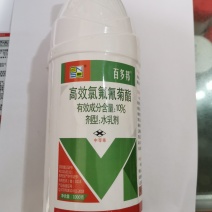 百农思达百多邦10%高效氯氟氰菊酯小麦蚜虫杀虫剂农药