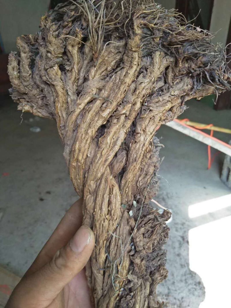 岩黄莲，纯野生货，质量保证