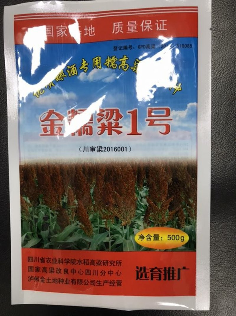 酿酒糯高粱种子金糯粱1号，高粱种子