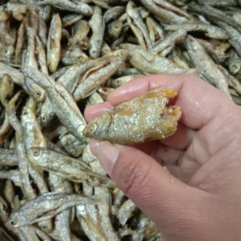 油炸鱼油炸小白条淡水无盐油炸鱼干破肚不苦