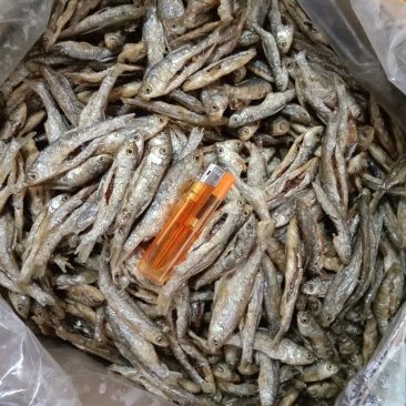 油炸鱼油炸小白条淡水无盐油炸鱼干破肚不苦