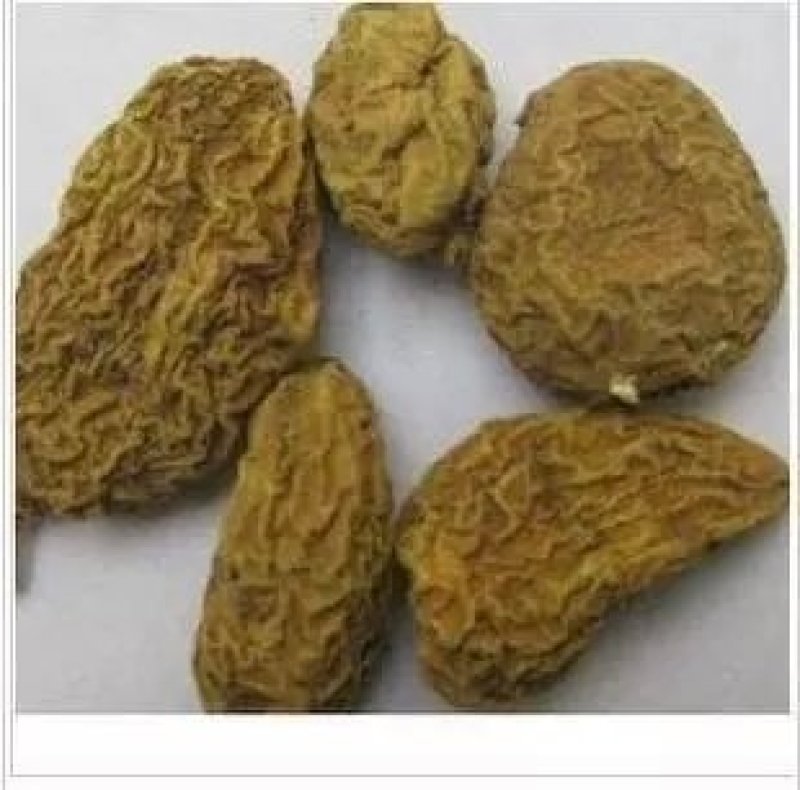 金果榄，常年批发各种产地金果榄量大从优，货真价实