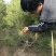 绿化白皮松1.5~3米