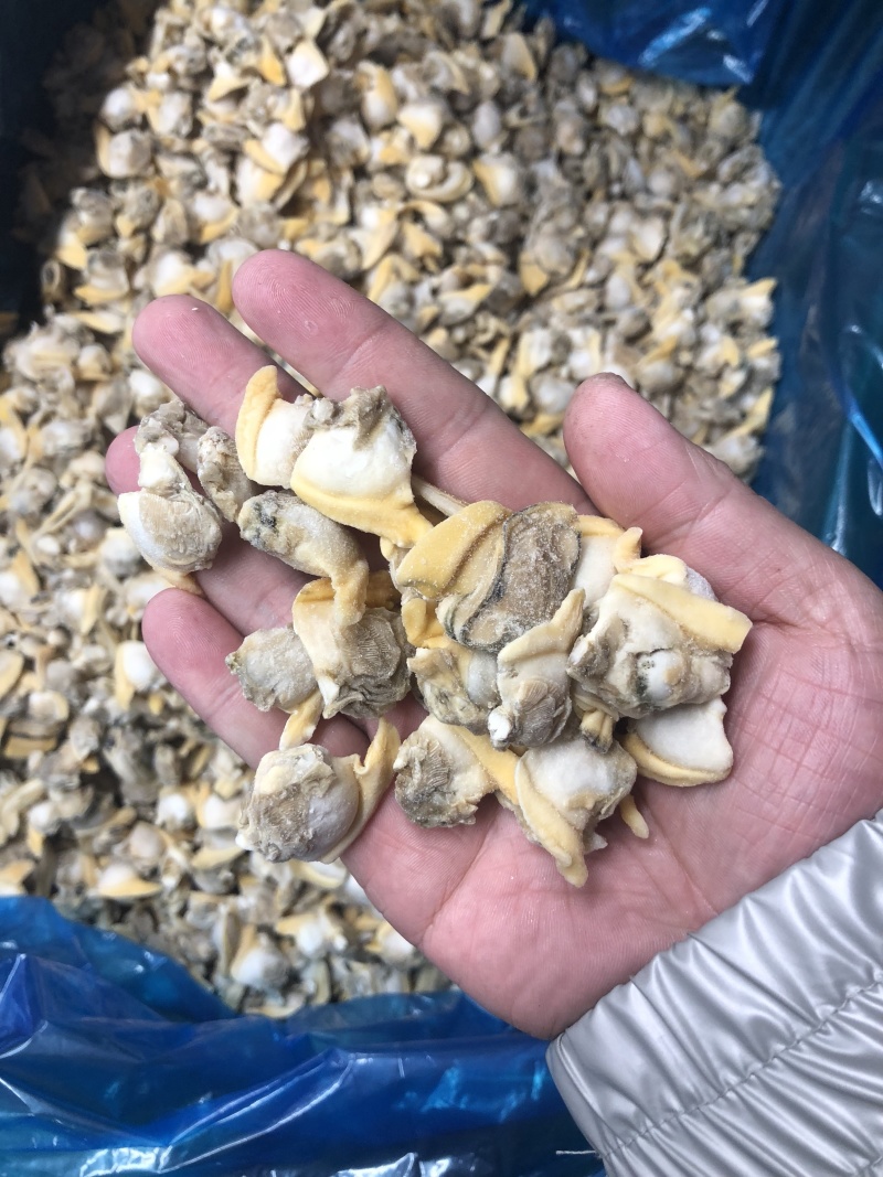 花蛤肉碎肉无沙干冰原汁原味有视频实拍