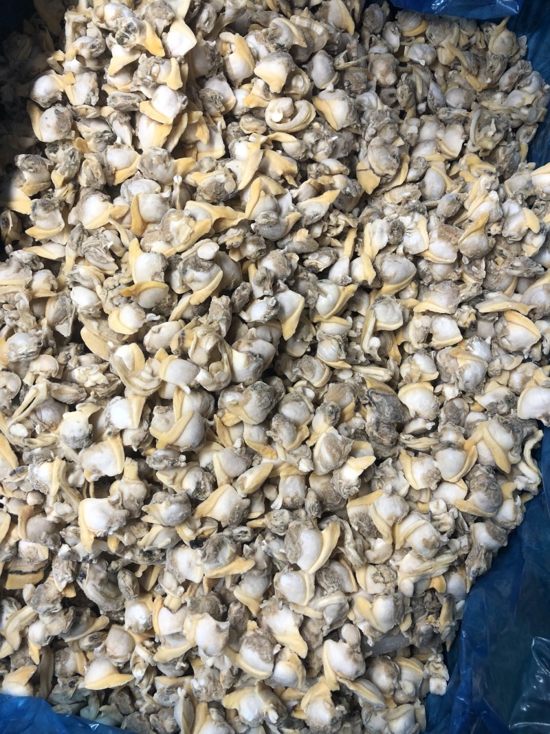 花蛤肉碎肉无沙干冰原汁原味有视频实拍