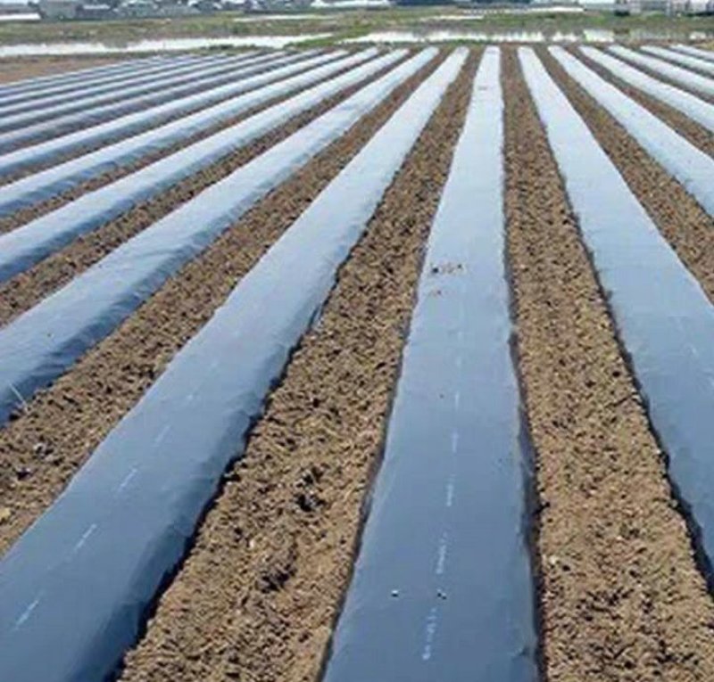 农用除草黑地膜10公斤
