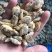 花蛤肉原汁小规格无沙