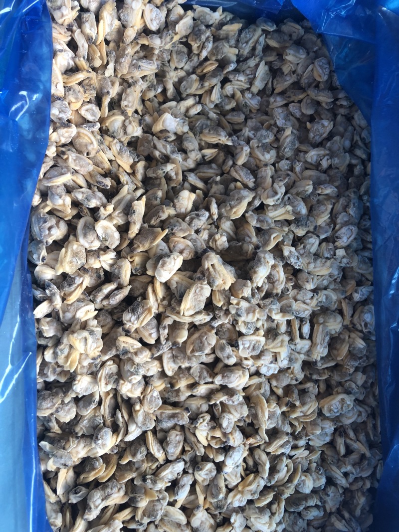 花蛤肉原汁小规格无沙