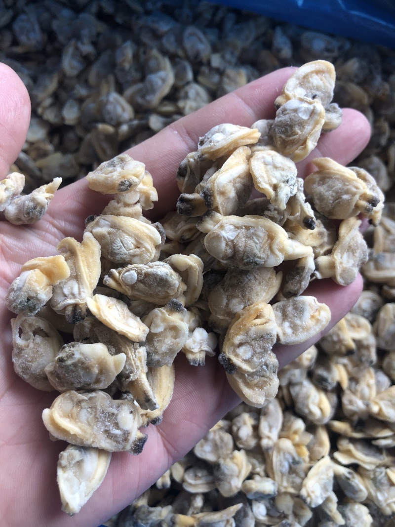 花蛤肉原汁小规格无沙