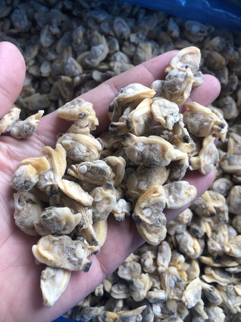 花蛤肉原汁小规格无沙