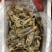 蛏子王开壳去脏无沙