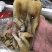 蛏子王开壳去脏无沙