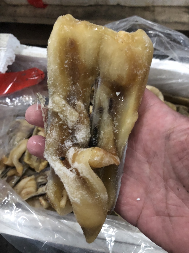 蛏子王开壳去脏无沙