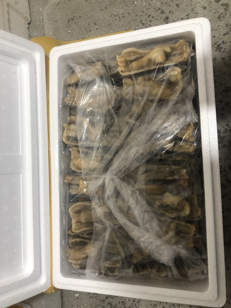 蛏子王开壳去脏无沙