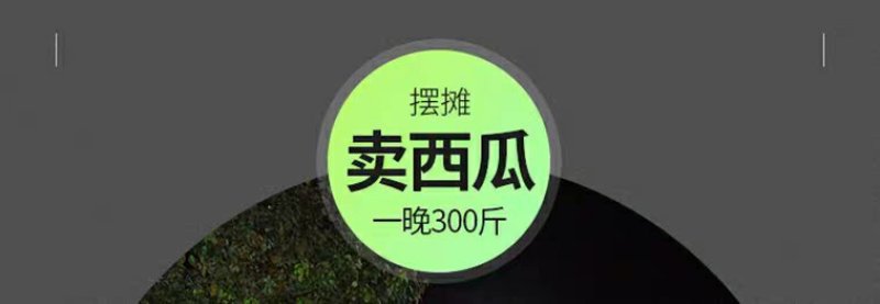 家用玉米脱粒机电动220v高效剥粒机器大小型农用全自动打