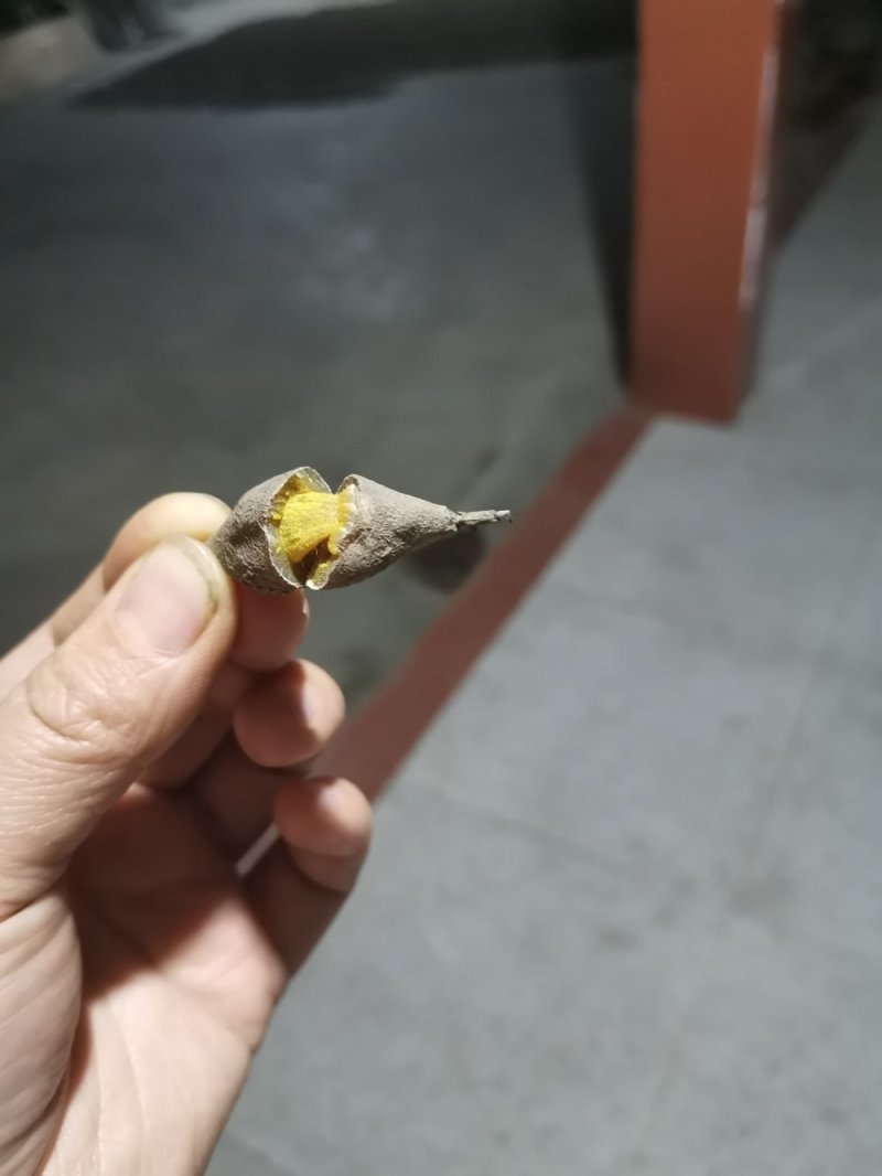 农家自产自销，中药材，黄丝郁金干货，无霉，阳光晒纯干货