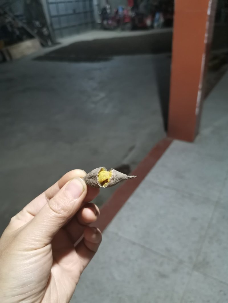 农家自产自销，中药材，黄丝郁金干货，无霉，阳光晒纯干货