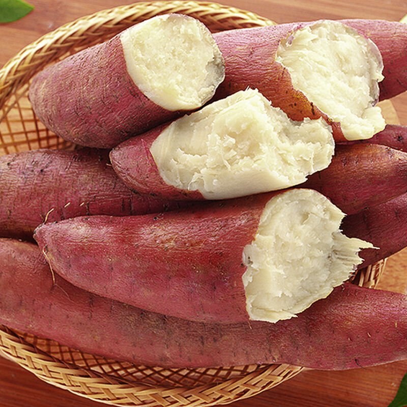 陕西板栗红薯甘糯面甜
