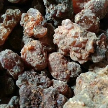 没药统货天然没药手选无杂没药没药珠
