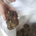 胶质没药非洲进口胶质没药统货选货大货