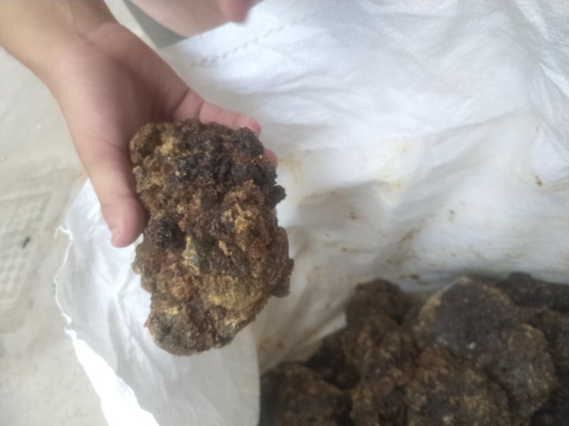 胶质没药非洲进口胶质没药统货选货大货