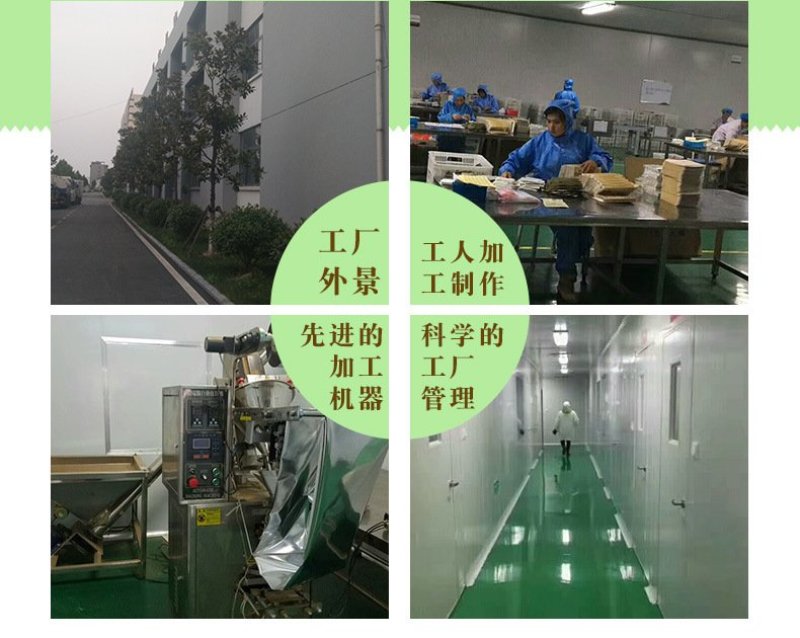 荷叶茶微山湖荷叶茶大肚子茶荷叶