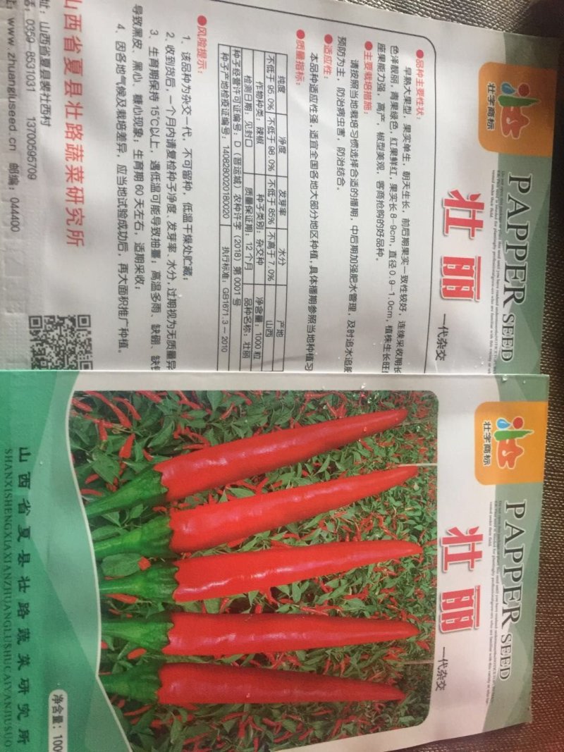 大果朝天椒种子1000粒