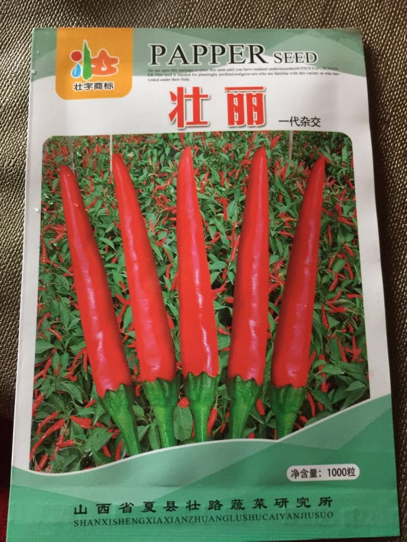 大果朝天椒种子1000粒