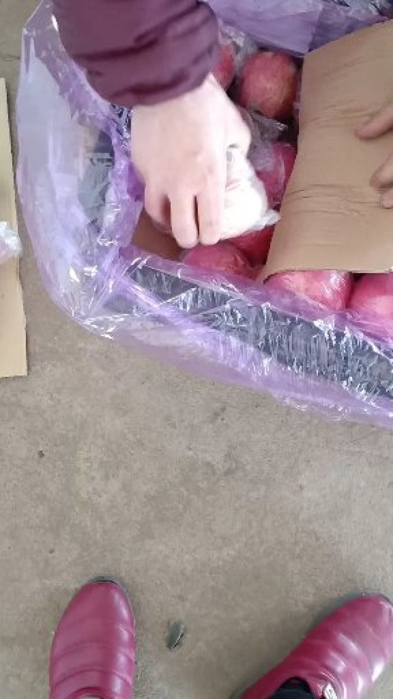 【优品】运城万荣坡上冰糖心纸加膜脆甜红富士苹果羊奶苹果