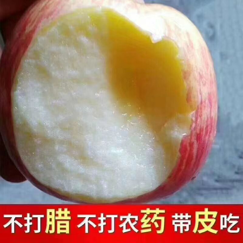 【优品】运城万荣坡上冰糖心纸加膜脆甜红富士苹果羊奶苹果