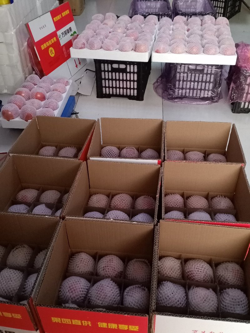【优品】运城万荣坡上冰糖心纸加膜脆甜红富士苹果羊奶苹果