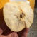 苹果树苗黄元帅苹果苗嫁接苗基地直销包成活