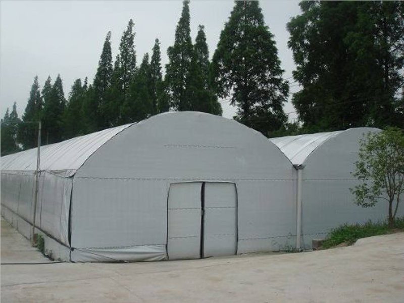 棚膜黑白膜养殖专用黑白膜菌用黑白膜绿白膜