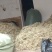 大量优质高山水苔，海花草量大质优价格优惠欢迎采购