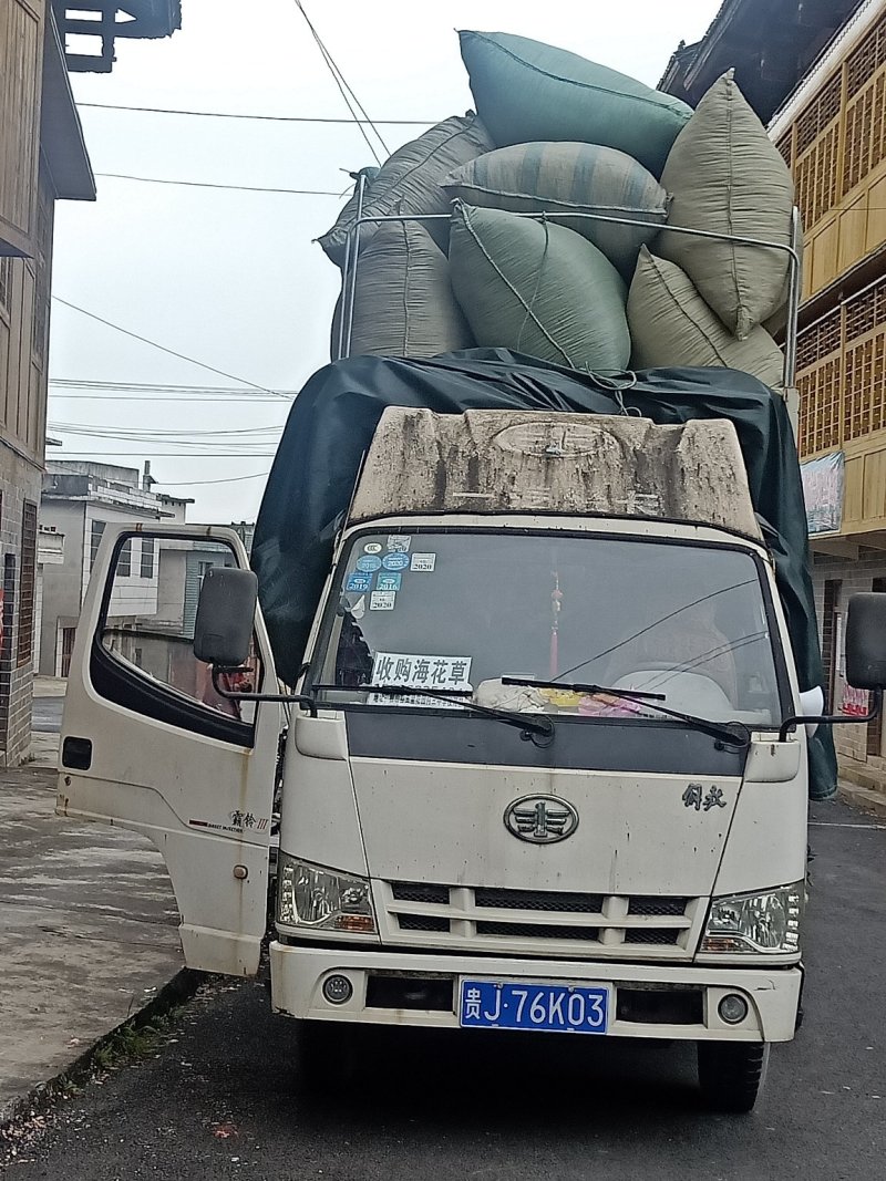 大量优质高山水苔，海花草量大质优价格优惠欢迎采购