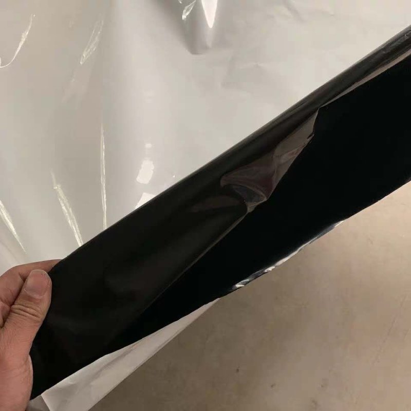 棚膜黑白膜养殖专用黑白膜菌用黑白膜绿白膜